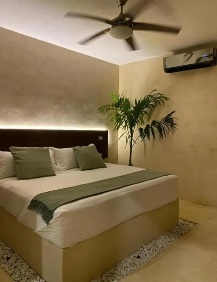 Cssa Kareli Holbox Daire Meksika