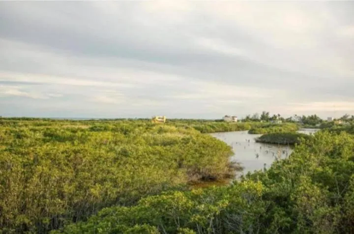 Cssa Kareli Holbox Apartment 0*, Isla Holbox Mexico